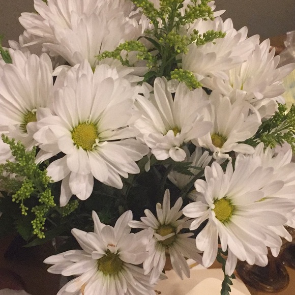 Meet your Posher, Brynn - Picture 1 of 1